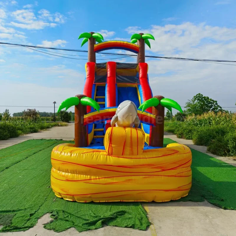 Toboggan aquatique gonflable c - Water Slide Inflatable avis et prix