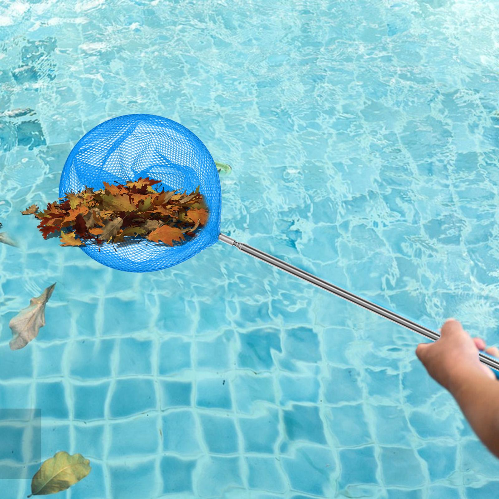 Épuisette de piscine avec manc - Pool Skimmer Net avis et prix